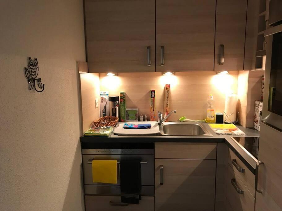 Beautiful 2.5 Room Apartment In Luzern Kültér fotó