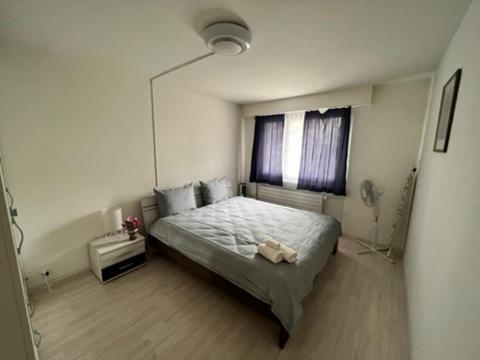 Beautiful 2.5 Room Apartment In Luzern Kültér fotó